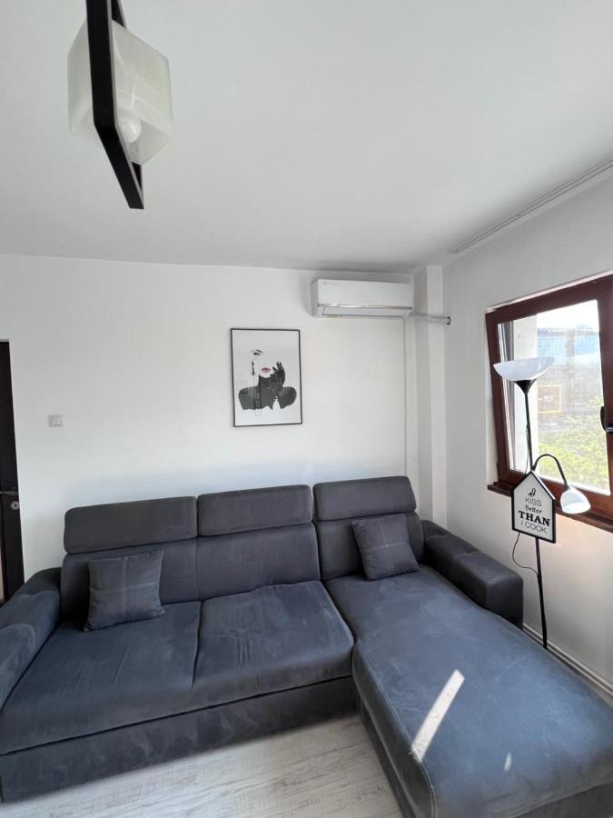 3 Palace View Iasi