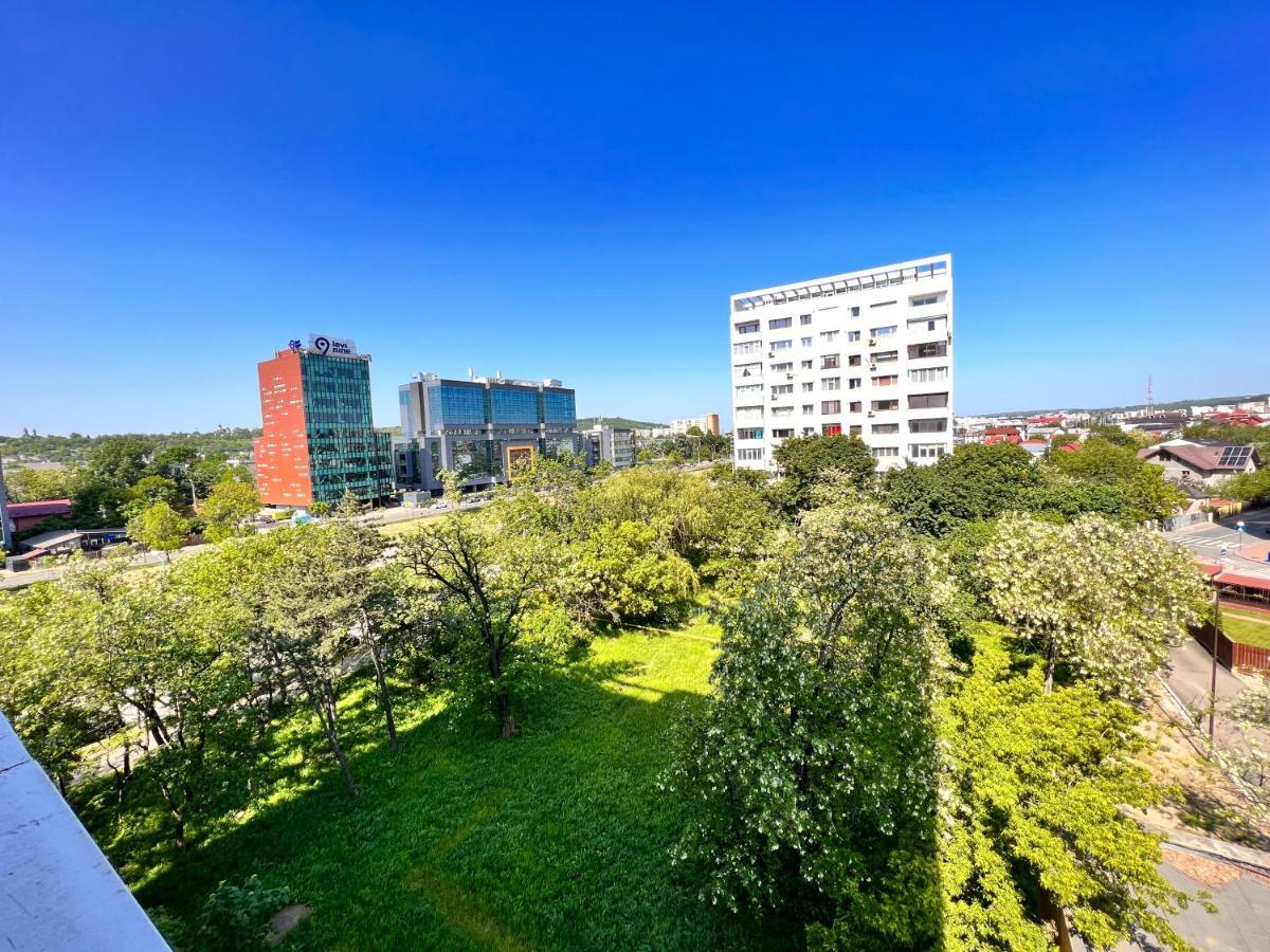 3 Palace View Iasi