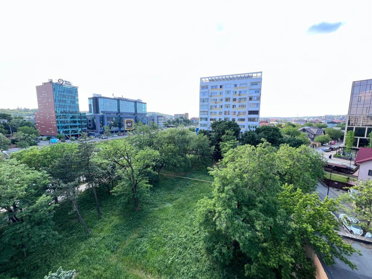 3 Palace View * Iasi
